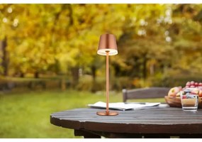 Globo 36637RM - Lampada LED solare LED/0,6W/3V 3000K IP44 rame