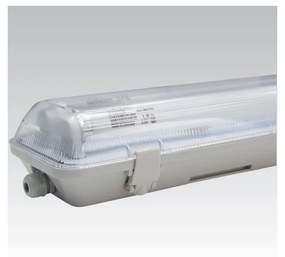 Lampada fluorescente TOPLINE 2xG13/58W/230V 1575 mm