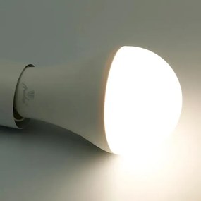 Lampadina LED RGBW dimmerabile A60 E27/15W/230V 2700-6500K Wi-Fi Tuya