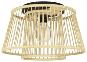 Eglo 43851 - Plafoniera HYKEHAM 1xE27/40W/230V