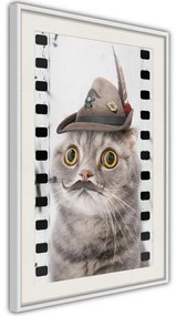 Poster  Dressed Up Cat  Cornice Quadri Cornice nera con pass-partout, Larghezza x Altezza Home decor 30x45