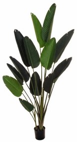 Pianta artificiale senza vaso in pvc colore verde H 180