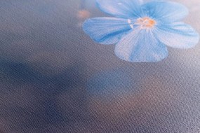 Quadro su tela – Fiori blu su sfondo vintage