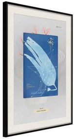 Poster  Alga Cyanotype  Cornice Quadri Cornice nera con pass-partout, Larghezza x Altezza Home decor 30x45