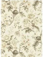 Sanderson Carta da parati Tansy Bloom - Oyster
