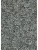 Moooi for Arte Carta da parati Bearded Leopard - MO2051 - Fossil Gray