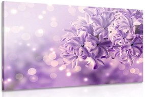 Quadro su tela – Fiore di lillà viola