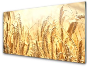 Quadro acrilico Campo di cereali Orecchie Natura 100x50 cm