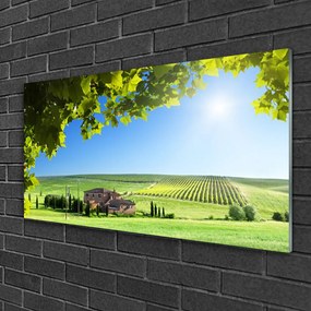 Quadro in vetro Campo Foglie Paesaggio 100x50 cm