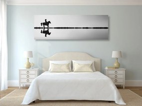 Quadro su tela – Cavaliere a cavallo in bianco e nero