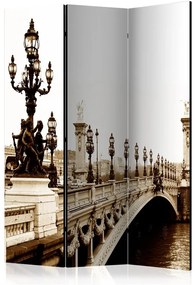 Paravento Alexander III Bridge, Paris [Room Dividers]