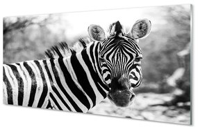 Quadro in vetro acrilico Zebra retrò 100x50 cm