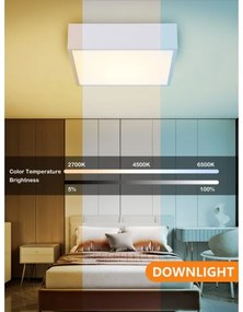 Immax NEO 07238L - Plafoniera LED dimmerabile CANTO 22W/230V bianco Tuya +RC