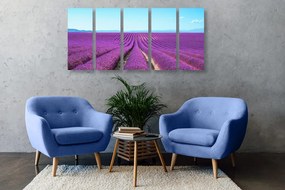 Quadri 5 pezzi – Campo di lavanda infinito
