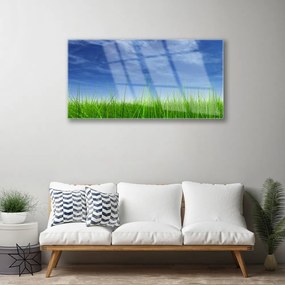 Quadro su vetro acrilico Cielo, erba, natura 100x50 cm