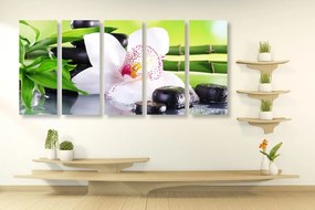Quadri 5 pezzi – Orchidea giapponese