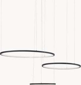 Lampada a sospensione grande a LED con luce regolabile Purple