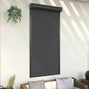 Tapparella Avvolgibile İn Alluminio 110x220 Cm Antracite /