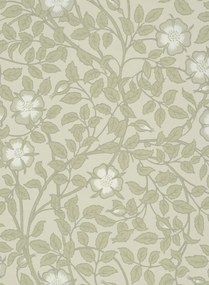 Little Greene Tapete Briar Rose - Green Stone