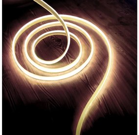 Striscia LED LED/50W/12V 5 m 4000K IP65