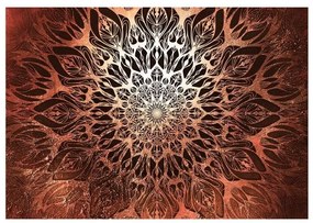 Fotomurale adesivo  Spider Web (Orange)  Larghezza x Altezza Home decor 98x70