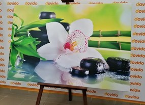 Quadro su tela – Orchidea giapponese