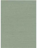Osborne & Little Carta da parati Kanoko - Celadon