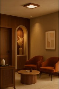 Argon 1872 - Plafoniera TABOR 4xE27/15W/230V 52x52 cm terracotta