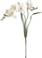 Set 6 Fiori Artificiali di Fresia con Due Fiori Altezza 63 cm Bianco