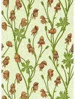 Morris & Co Carta da parati Monkshood - Tangerine/ Sage