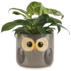 Vaso in ceramica ø 13,5 cm Owl - Balvi