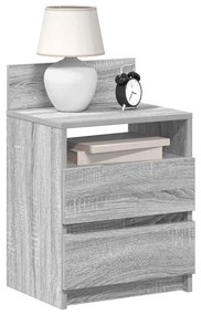 Comodini 2 Pz Con 2 Cassetti Grigio Sonoma 40x33x60 Cm /