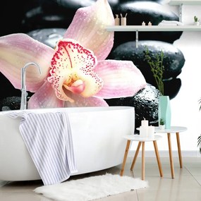 Carta da parati – Orchidea esotica