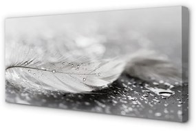 Stampa quadro su tela Gocce di macro piuma 100x50 cm