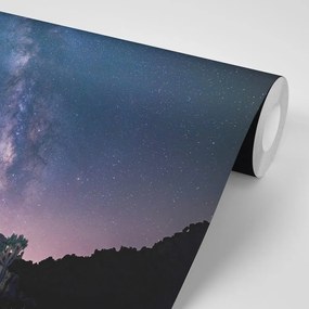 Carta da parati – Cielo stellato sopra le rocce
