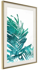 Poster  Teal Palm on White Background  Cornice Quadri Cornice d'oro con passe-partout, Larghezza x Altezza Home decor 20x30