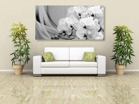 Stampa su tela – Orchidea su tela in bianco e nero