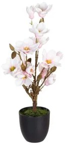 Pianta Decorativa Poliestere Polietilene Ferro 30 x 30 x 60 cm Magnolia
