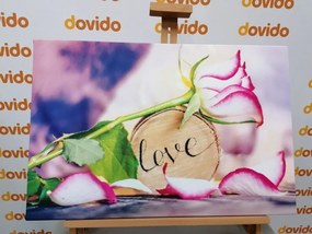 Stampa su tela – Dichiarazione romantica Love