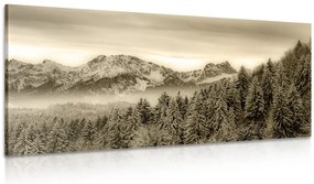 Quadro su tela – Montagne congelate in seppia