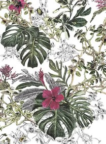 Sian Zeng Tapete Summer Tropical Bloom