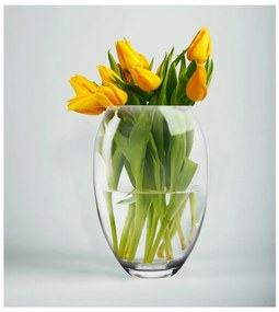 Vaso di vetro - Orion