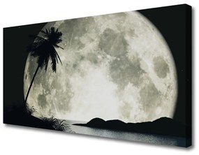 Quadro su tela Paesaggio delle palme della luna notturna 100x50 cm