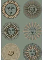 Cole & Son Tapete Soli - Sage/ Rose Gold