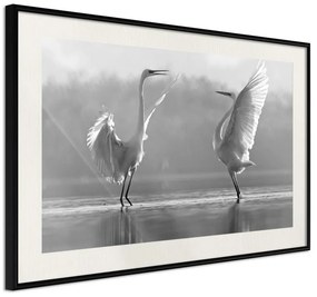 Poster  Black and White Herons  Cornice Quadri Cornice nera con pass-partout, Larghezza x Altezza Home decor 30x20