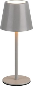 Lampada da tavolo LED grigia con paralume in metallo (altezza totale 21 cm) Diaz – Trio
