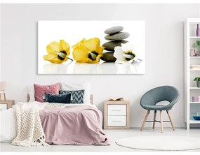 Quadro Calm Mallow (1 Part) Yellow  Colore Giallo, Dimensioni e Misure 120x60