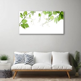 Quadro acrilico Rami, foglie, natura, fiori 100x50 cm