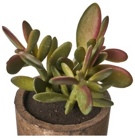 Piante artificiali in set da 4 (altezza 10 cm) Cactus - Casa Selección