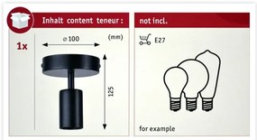 Paulmann 79760 - Plafoniera HALDOR 1xE27/20W/230V